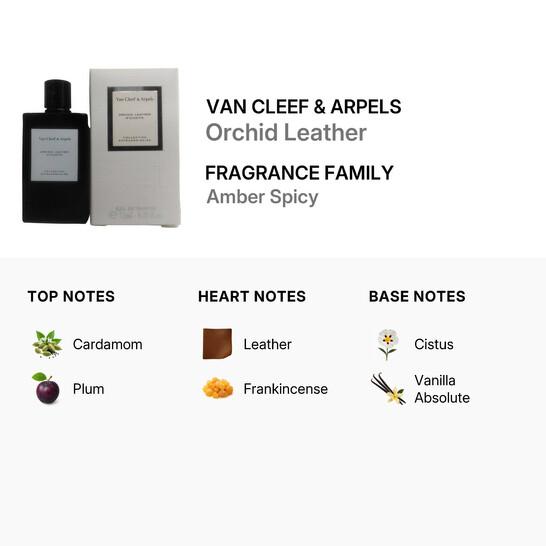 عطر جلدي شرقي فاخر ودافئ