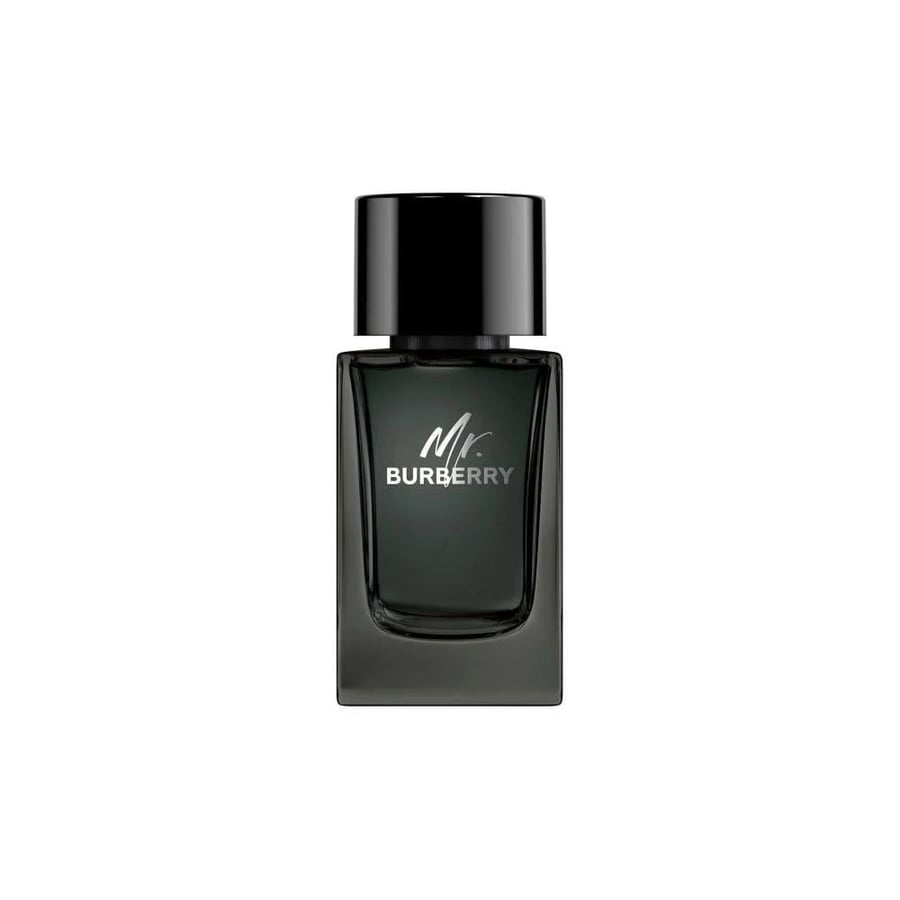 عطر مستر بربري او دو برفيوم 100 مل
