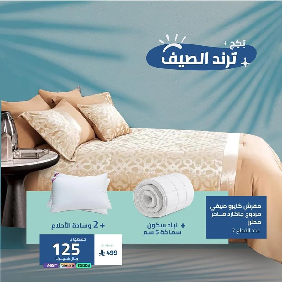باكج ترند الصيف  ( مفرش + لباد + 2 وسادة )