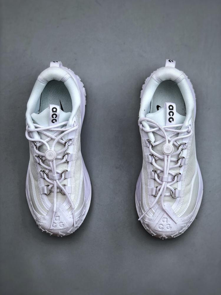 Nike ACG Mountain Fly 2 Low