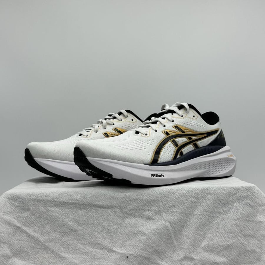 Asics Gel-Kayano30 shoes