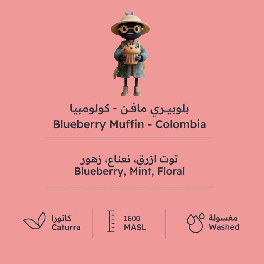 كولومبيا بلوبيري مافن - بيت التحميص | Blueberry Muffin