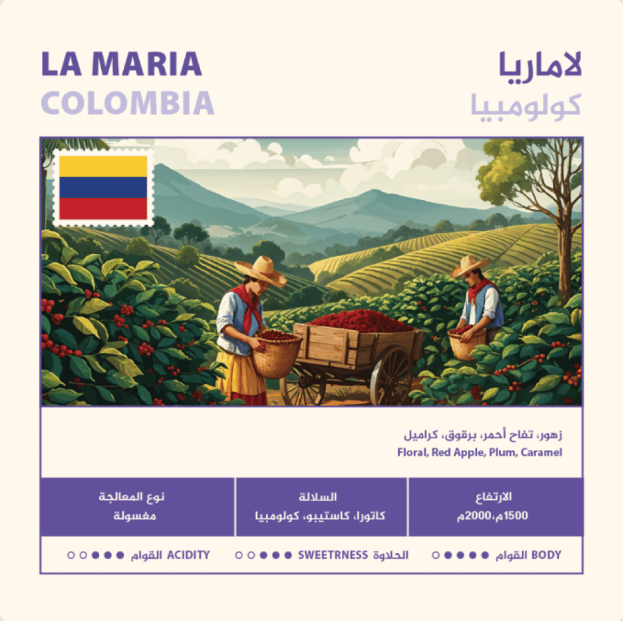 كولومبيا لاماريا - نهج | Lamaria