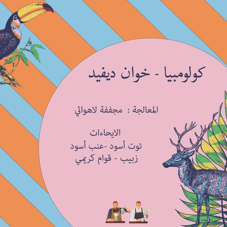 كولومبيا ديفيد لاهوائية - كرمله | David
