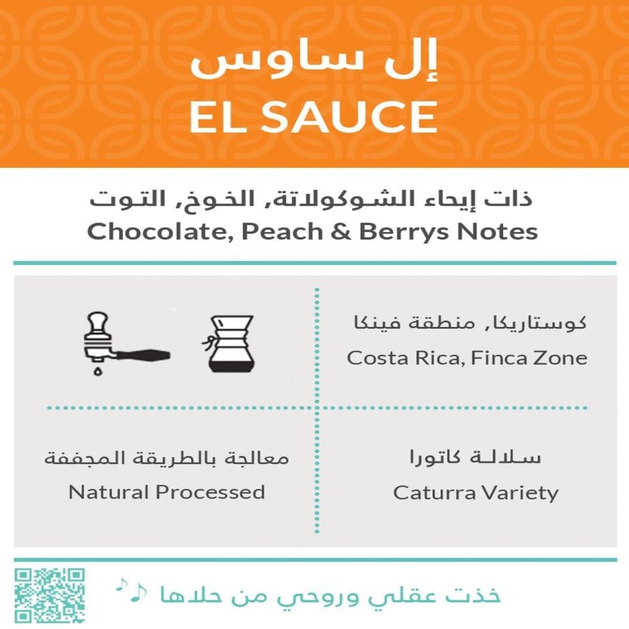 كوستاريكا ال ساوس - كفة | El Sauce