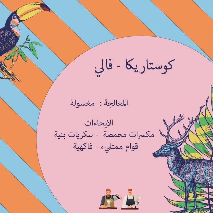 كوستاريكا فالي - كرمله | Vali
