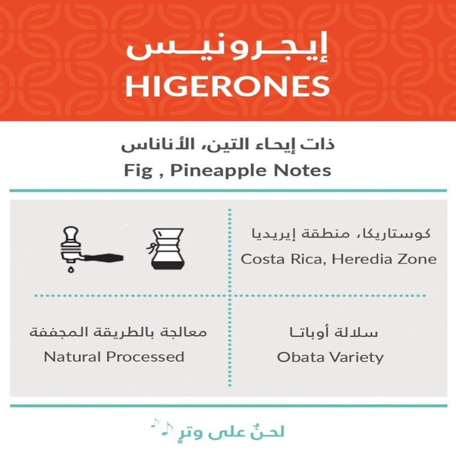 كوستاريكا ايجرونيس - كفة | HIGERONES