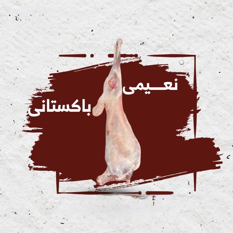 خروف نعيمي كشميري 1 ك