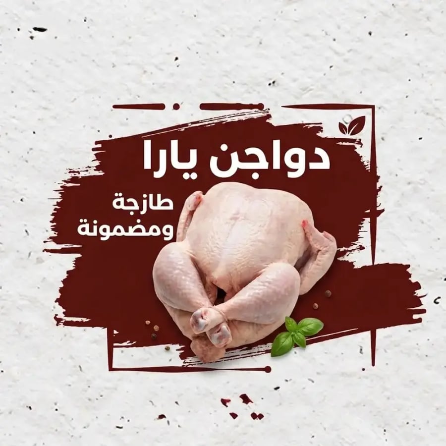دجاج يارا وزن 900 جرام