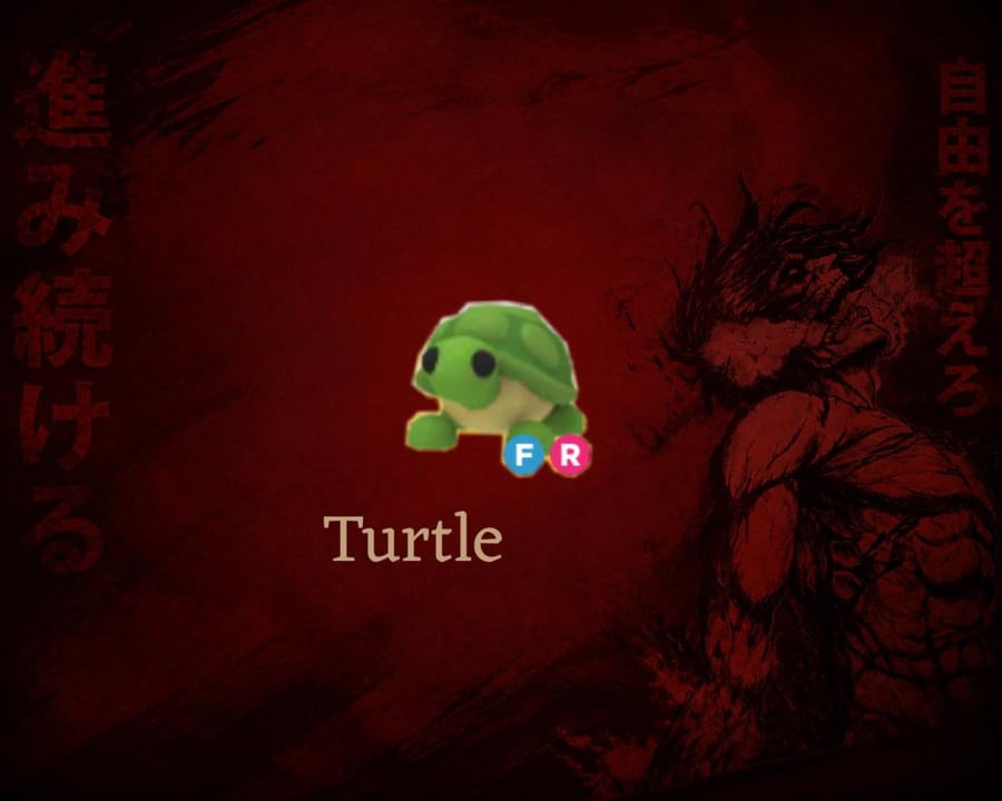 سلحفاة - Turtle