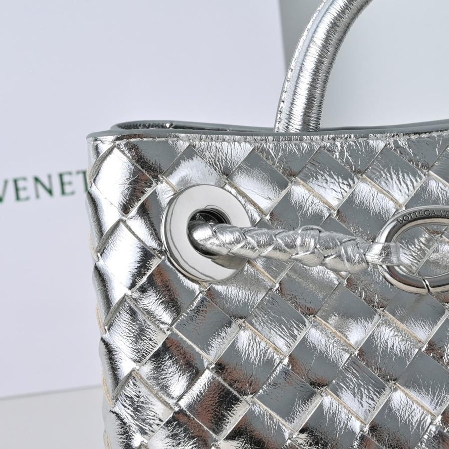 Bottega Veneta Andiamo Bag 25cm