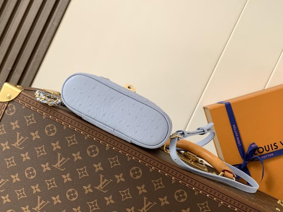 LV Vanity Bag 19cm
