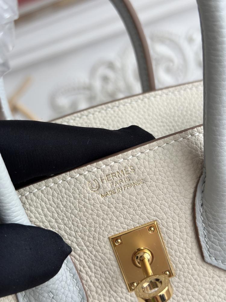 Hermes Birkin Bag (Gold & Silver Hardware Edition)