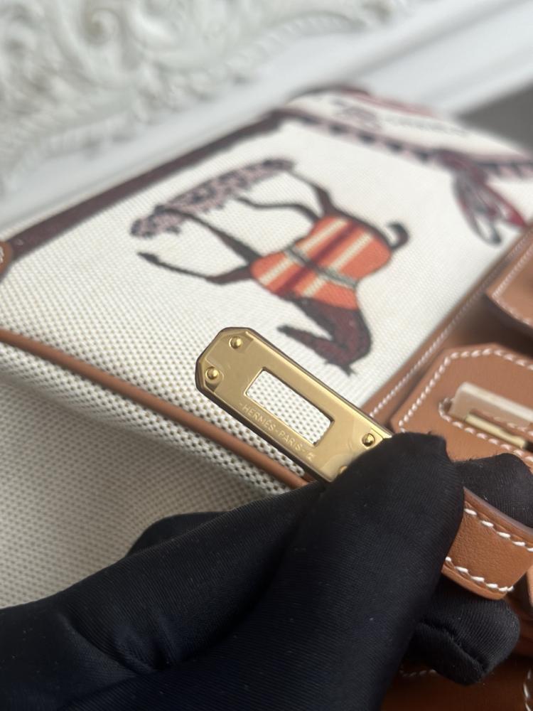 Hermes Birkin Bag (Gold & Silver Hardware Edition)