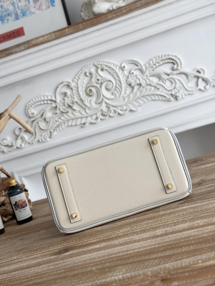 Hermes Birkin Bag (Gold & Silver Hardware Edition)