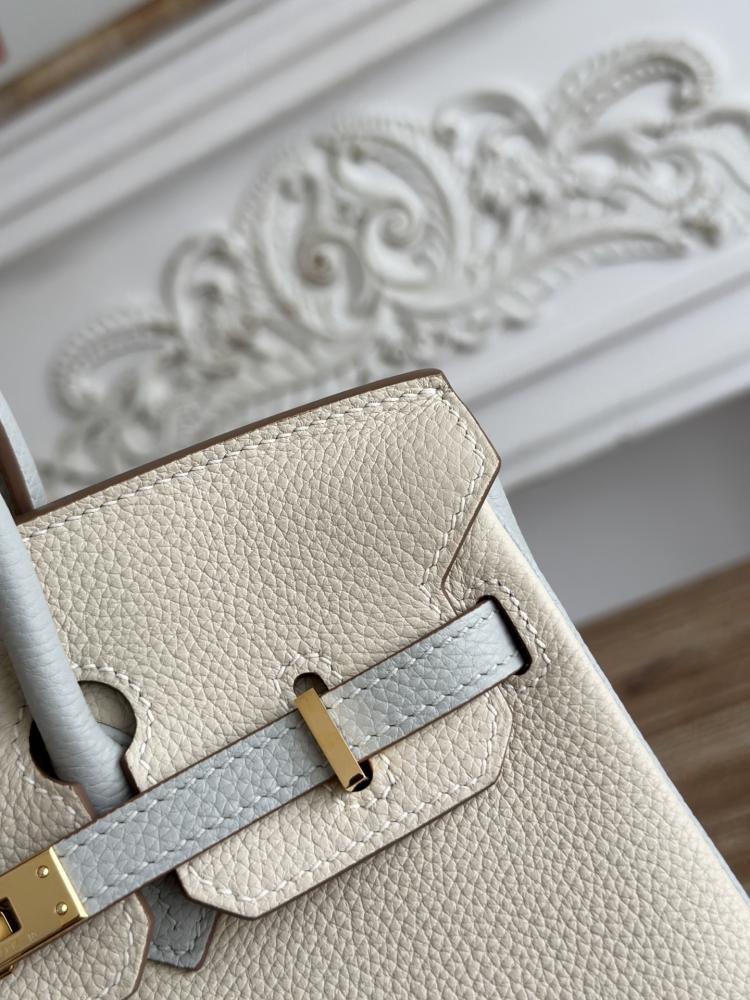 Hermes Birkin Bag (Gold & Silver Hardware Edition)