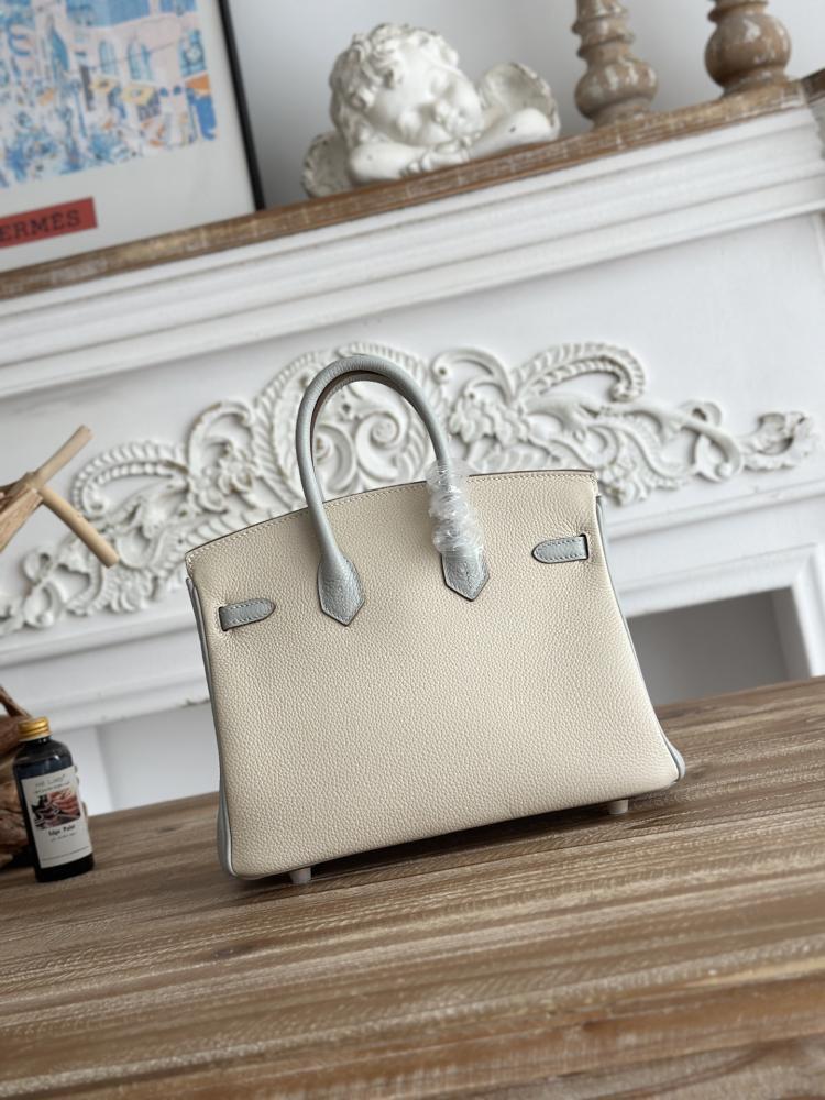 Hermes Birkin Bag (Gold & Silver Hardware Edition)