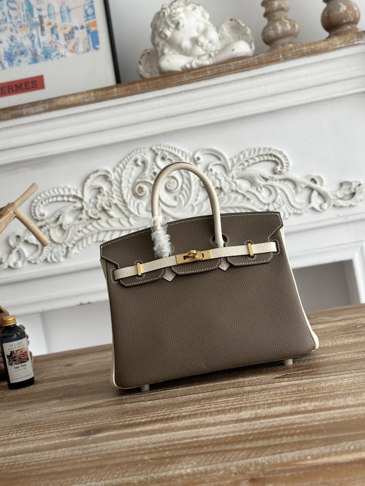 Hermes Birkin Bag (Gold & Silver Hardware Edition)