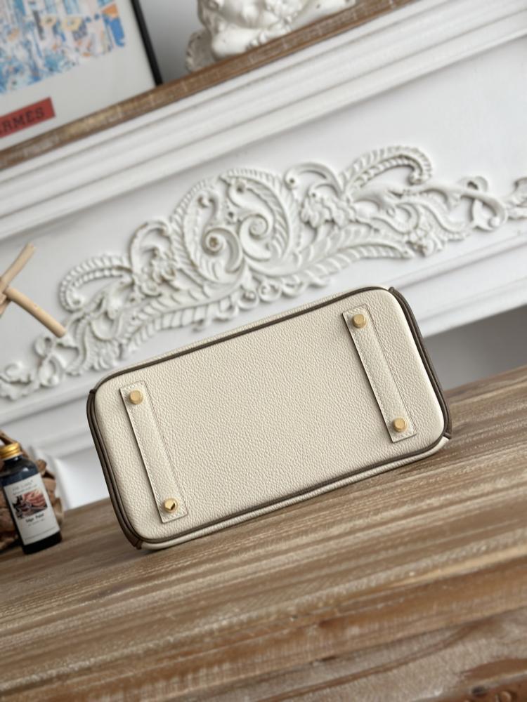 Hermes Birkin Bag (Gold & Silver Hardware Edition)