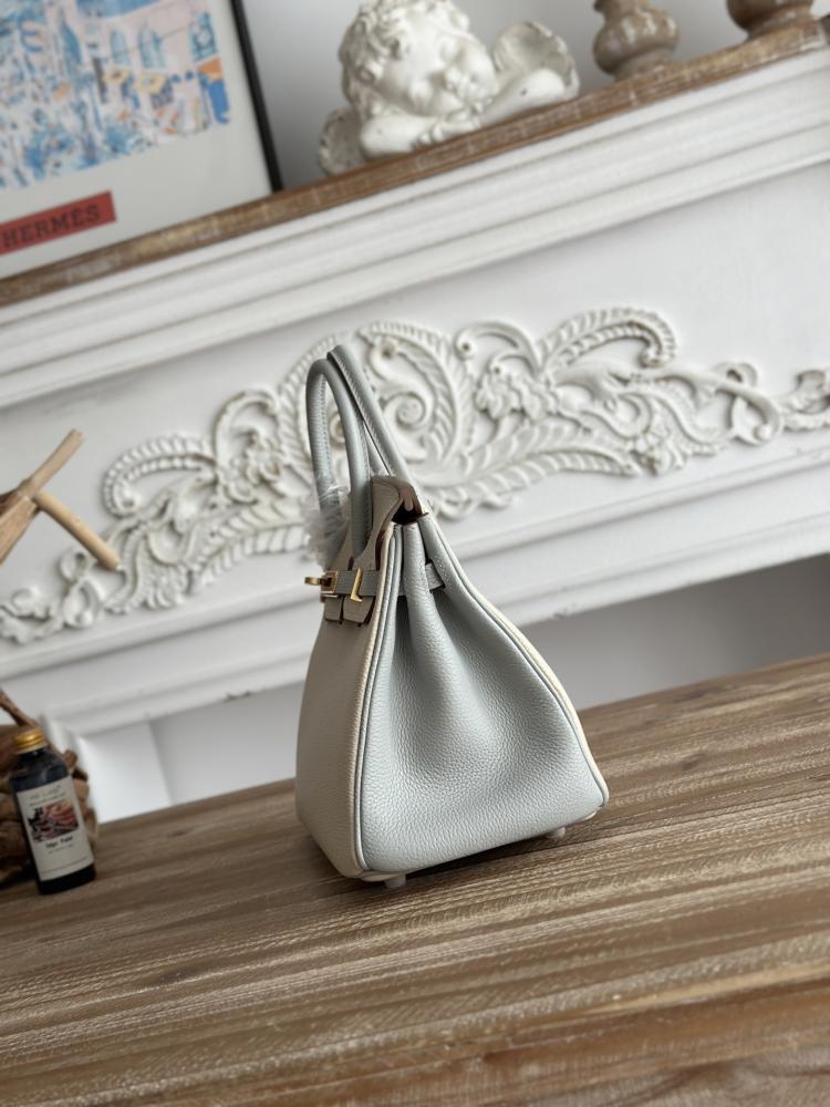 Hermes Birkin Bag (Gold & Silver Hardware Edition)