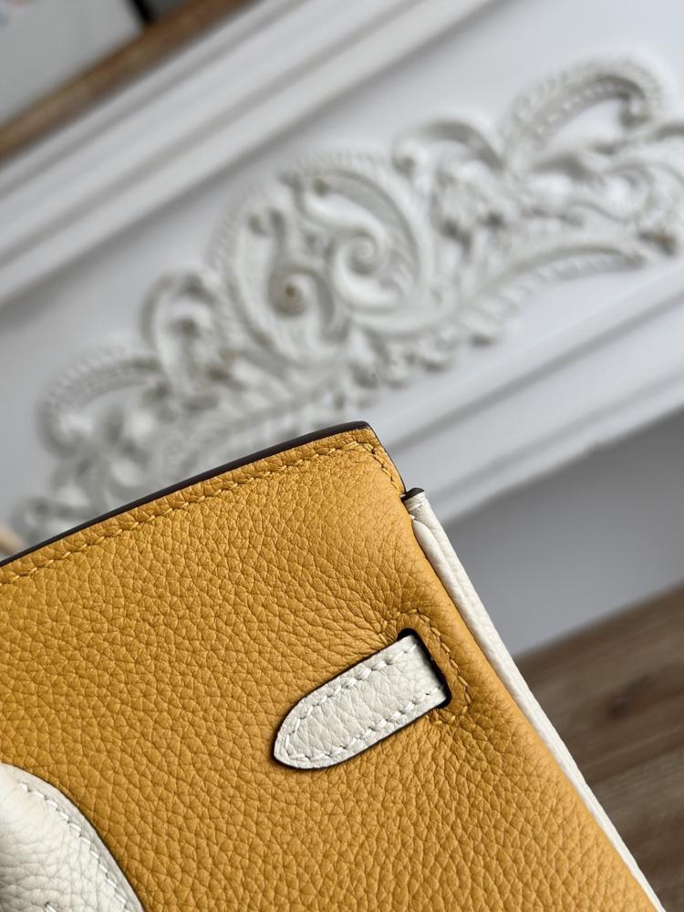 Hermes Birkin Bag (Gold & Silver Hardware Edition)