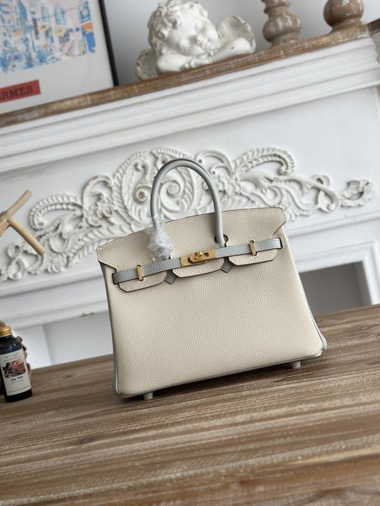 Hermes Birkin Bag (Gold & Silver Hardware Edition)