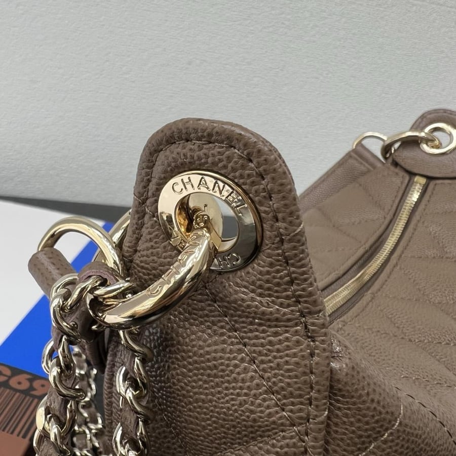 Chanel Quilted Moon Bag