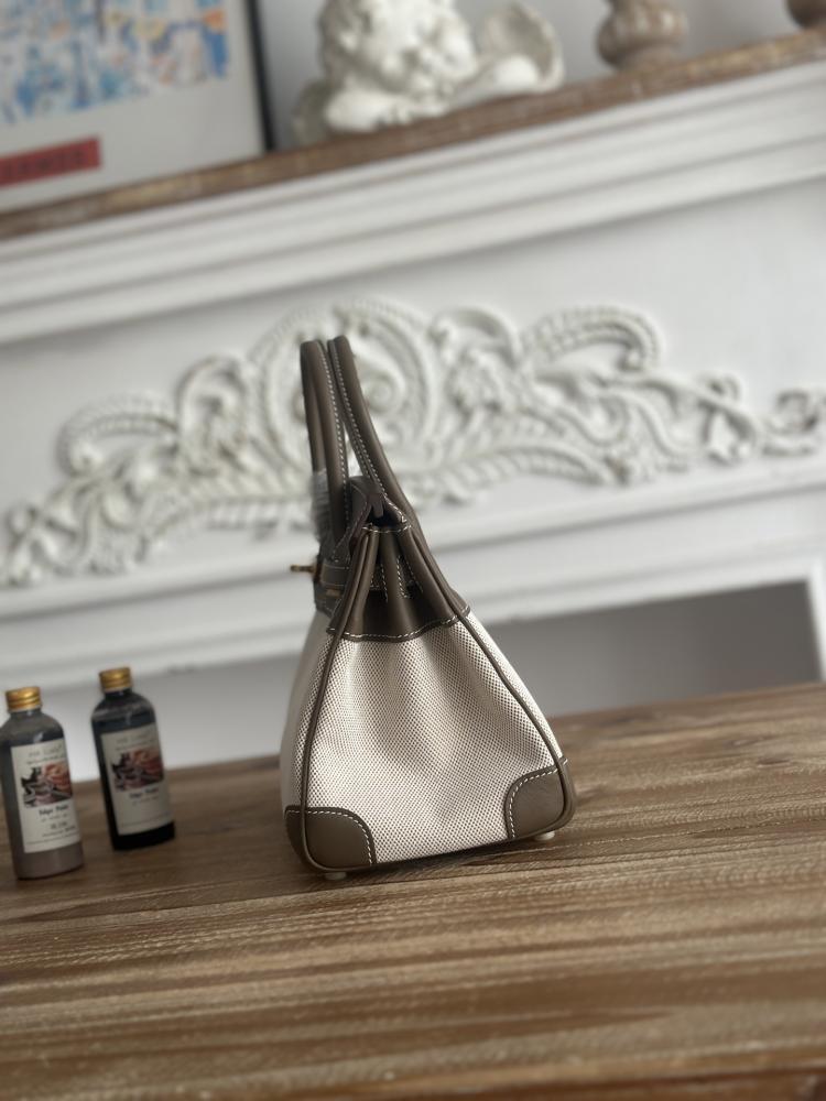 Hermes Birkin Bag (Gold & Silver Hardware Edition)