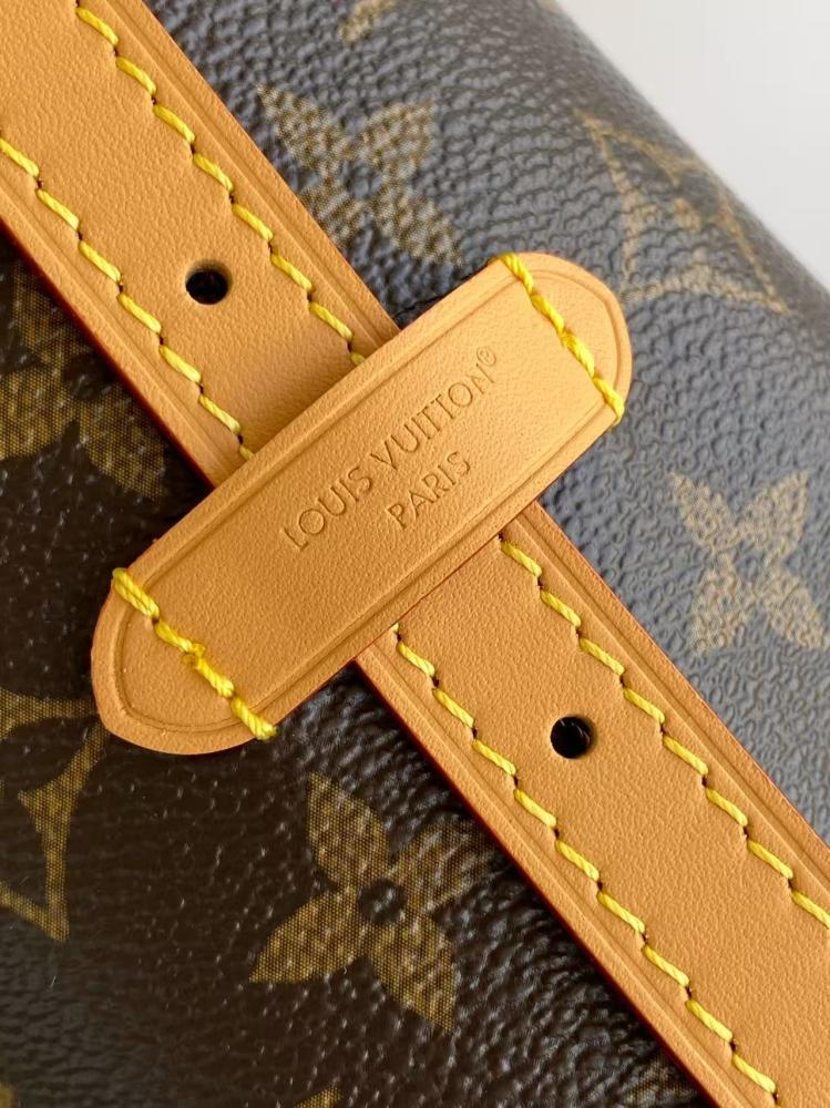 Louis Vuitton Loop Hobo
