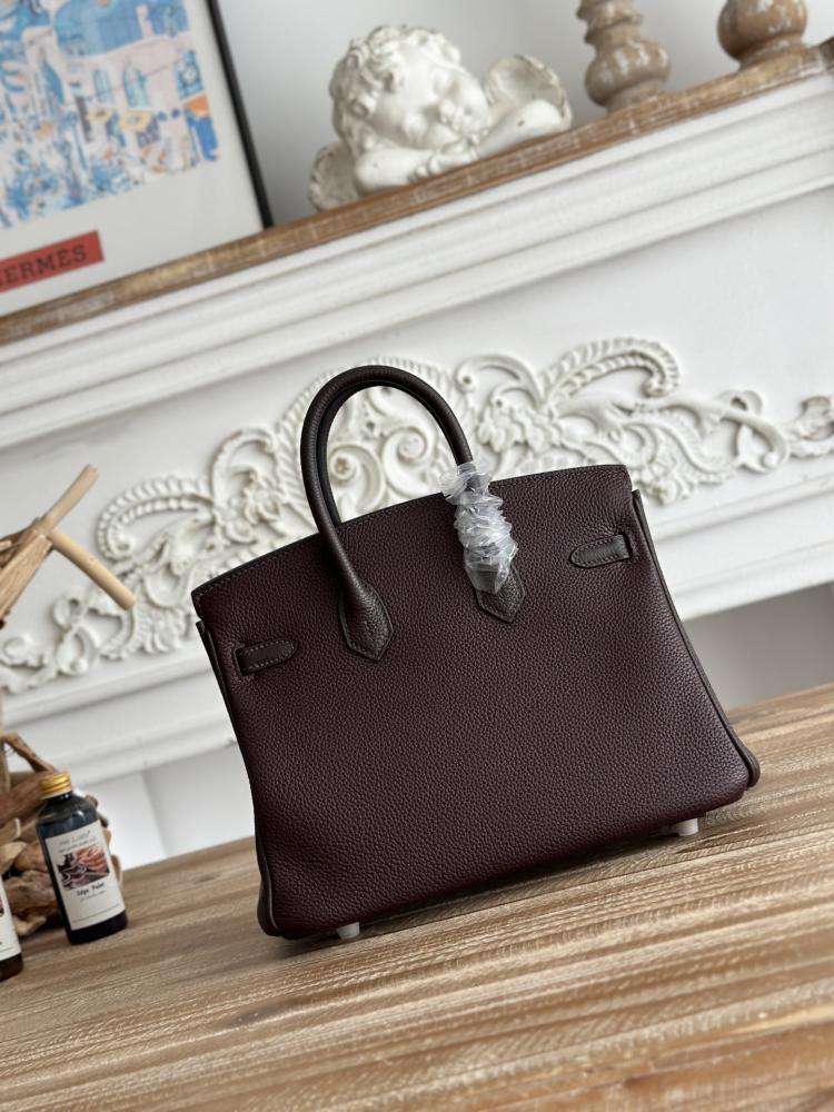 Hermes Birkin Bag (Gold & Silver Hardware Edition)