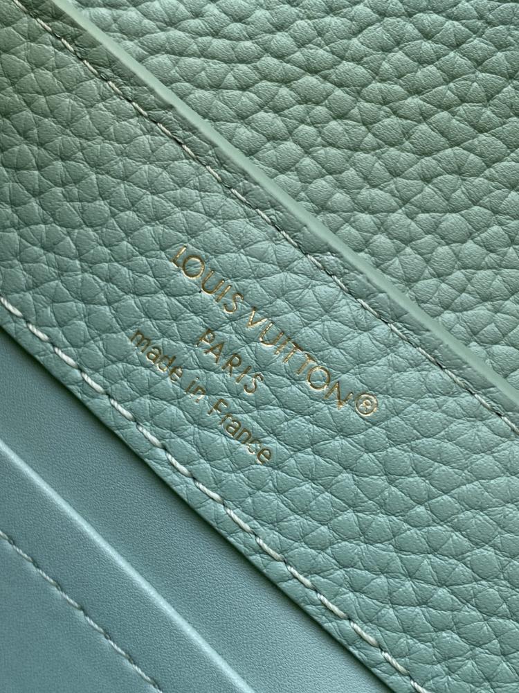 Louis Vuitton Capucines BB Braided Handle Leather Bag