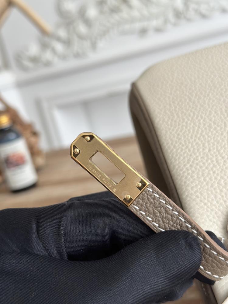 Hermes Birkin Bag (Gold & Silver Hardware Edition)