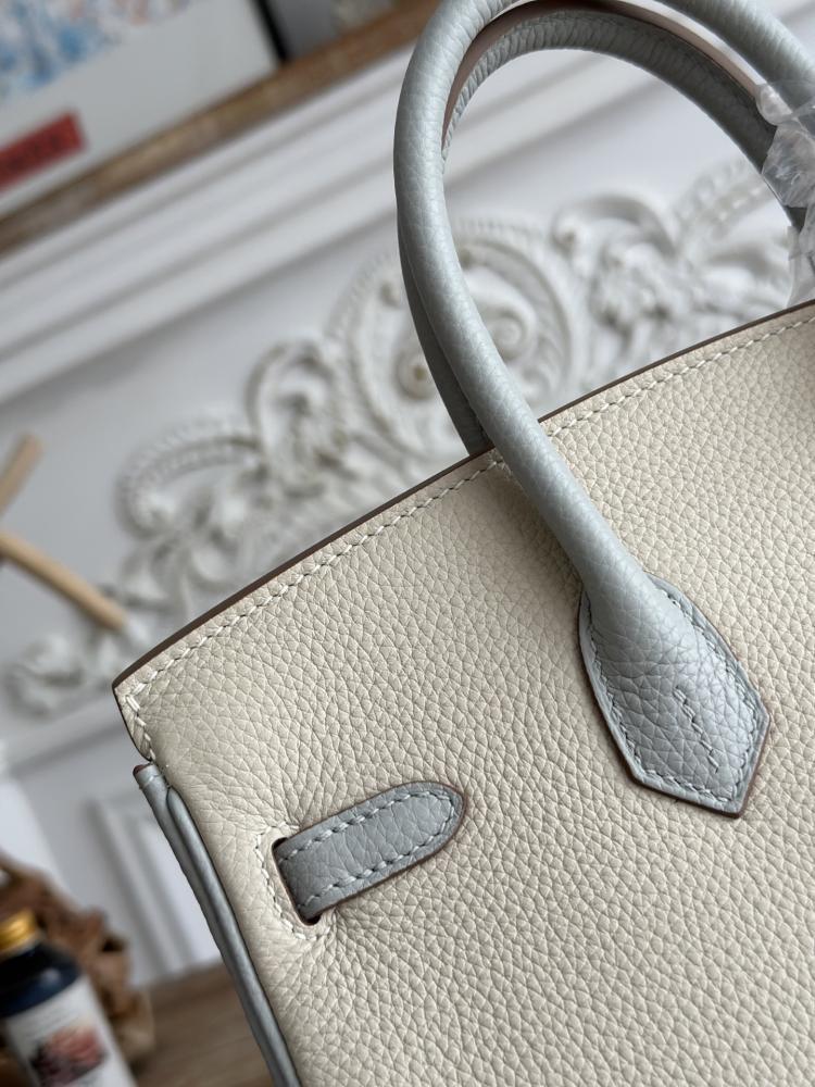 Hermes Birkin Bag (Gold & Silver Hardware Edition)