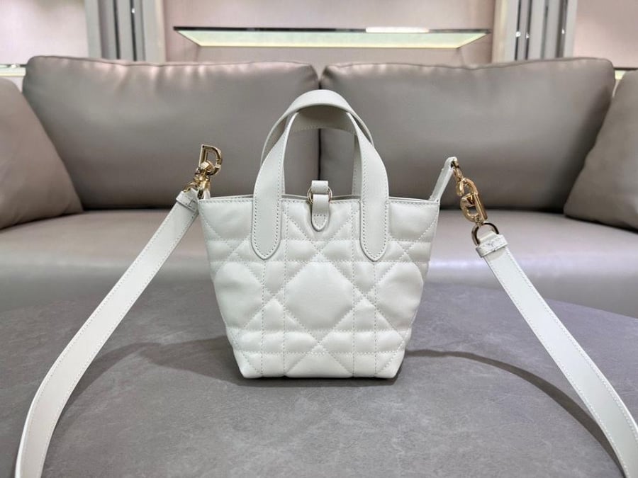 Dior Toujours Vertical Nano Tote Bag