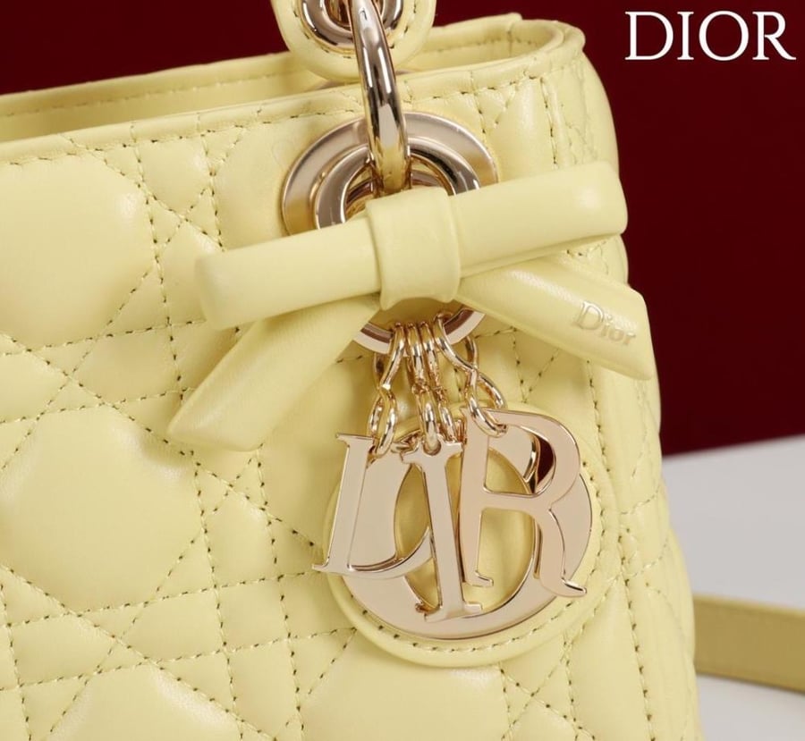 Mini Lady Dior Bag