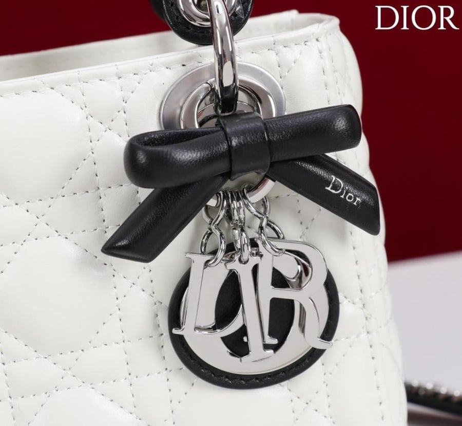Mini Lady Dior Bag
