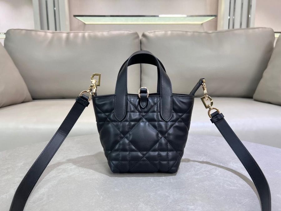 Dior Toujours Vertical Nano Tote Bag