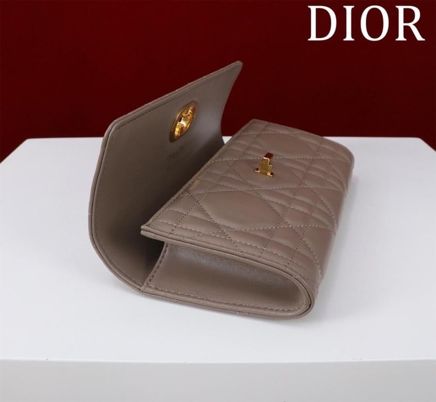 Miss Caro Top Handle Pouch