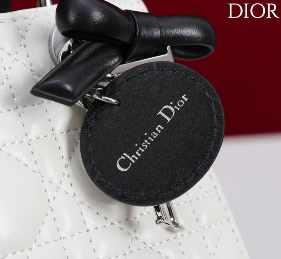 Mini Lady Dior Bag