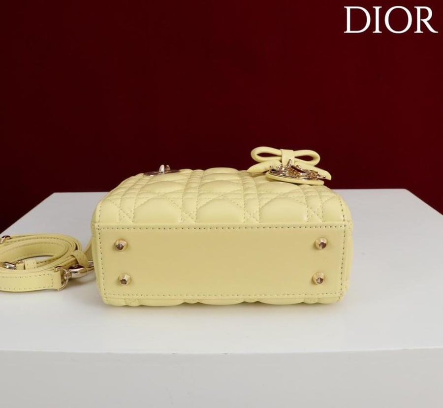 Mini Lady Dior Bag