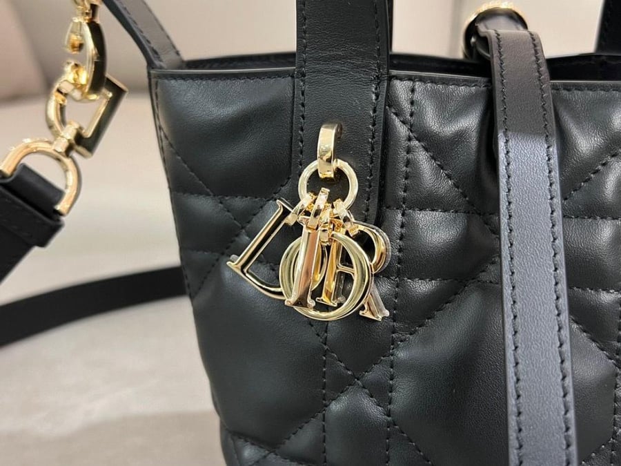 Dior Toujours Vertical Nano Tote Bag