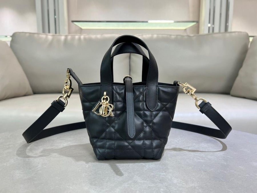 Dior Toujours Vertical Nano Tote Bag