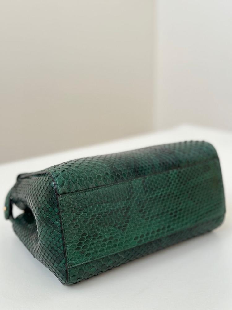Fendi Peekaboo ISeeU Petite Bag, Python