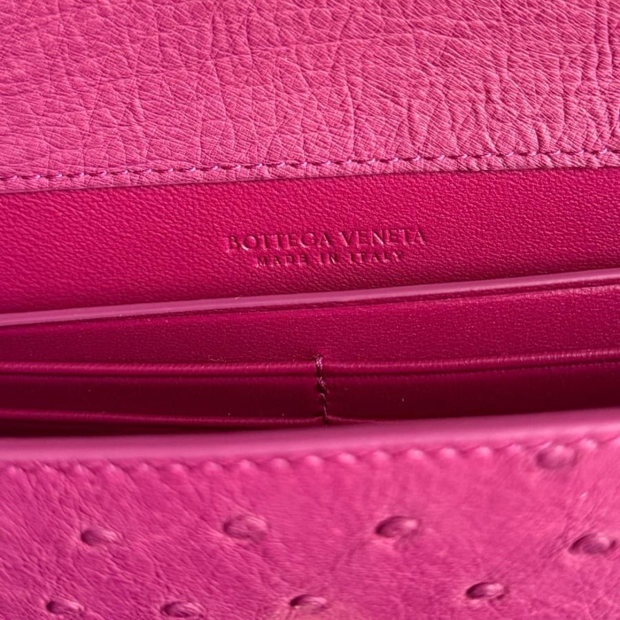 Andiamo Clutch in Ostrich Leather