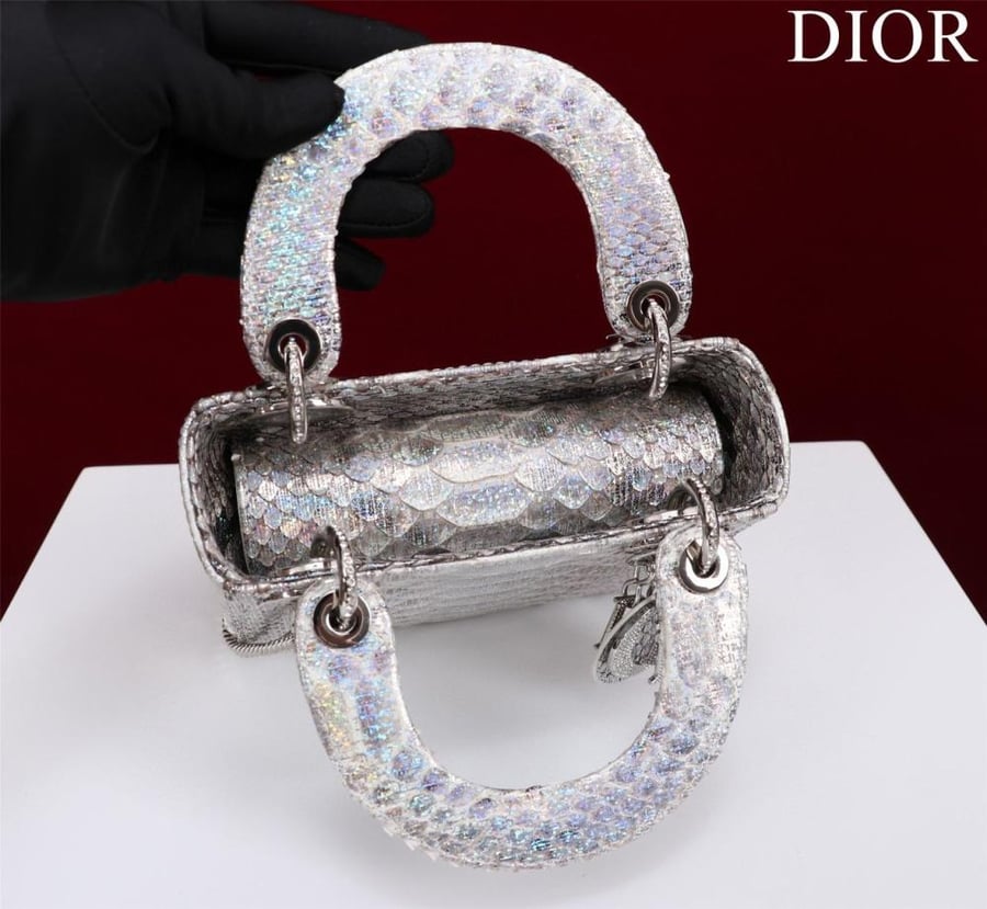 Mini Lady Dior Bag - Python