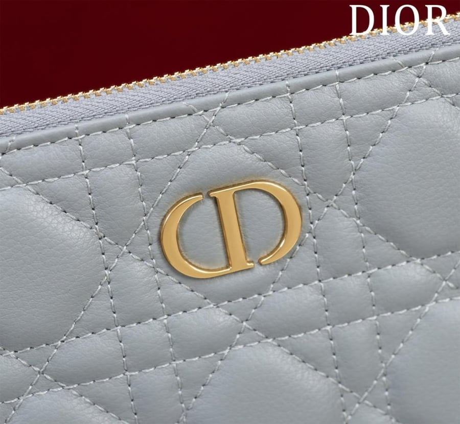 Large Dior Caro Daily Pouch
