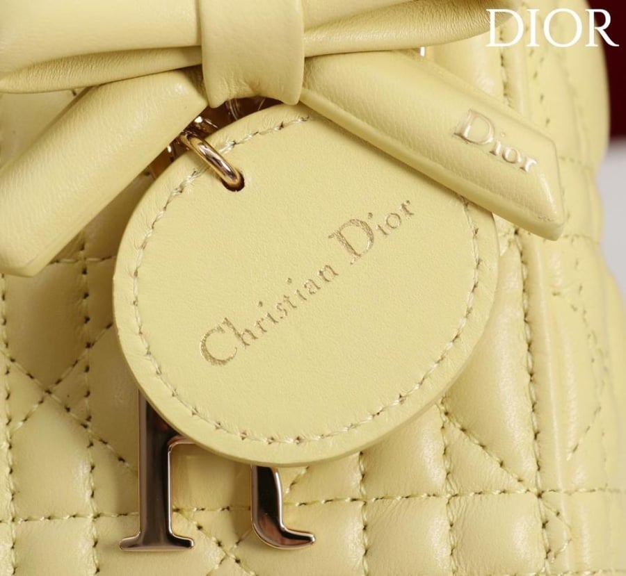 Mini Lady Dior Bag