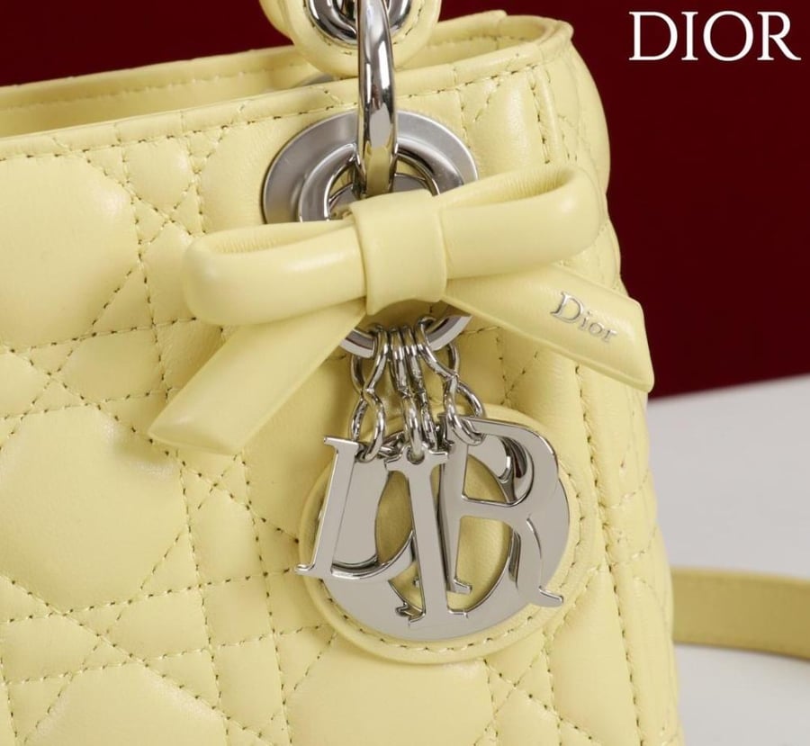 Mini Lady Dior Bag