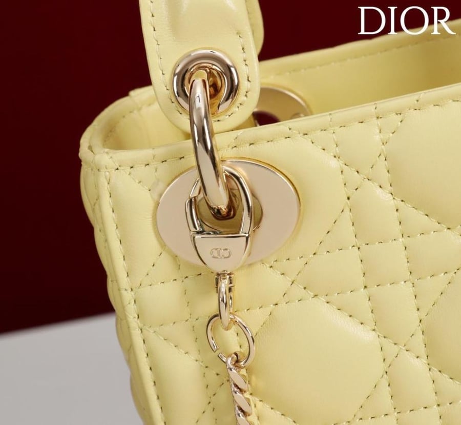 Mini Lady Dior Bag