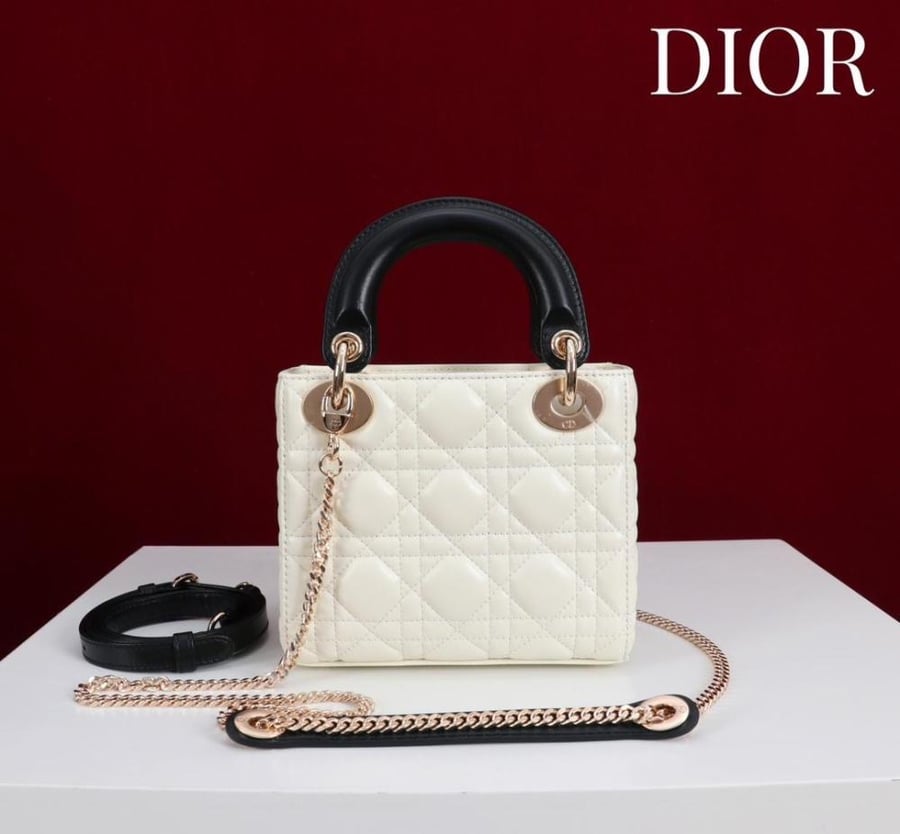 Mini Lady Dior Bag